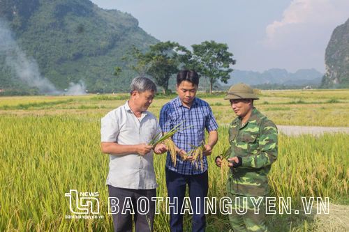 Về nơi tạo ra thức 'cơm Phương Bá' nức tiếng