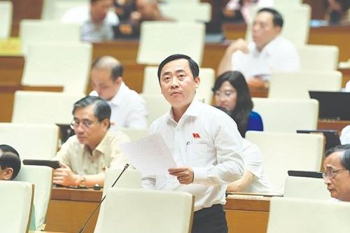Thận trọng rà soát, nghiên cứu kỹ lưỡng