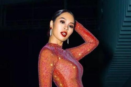 Hà Anh xin lỗi sau sự cố diện váy xuyên thấu
