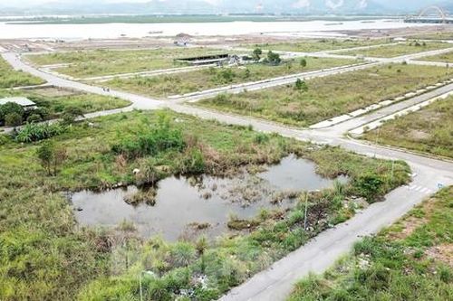 Khu đô thị gần 100ha 'đất vàng' ở Quảng Ninh bỏ hoang, cỏ mọc um tùm