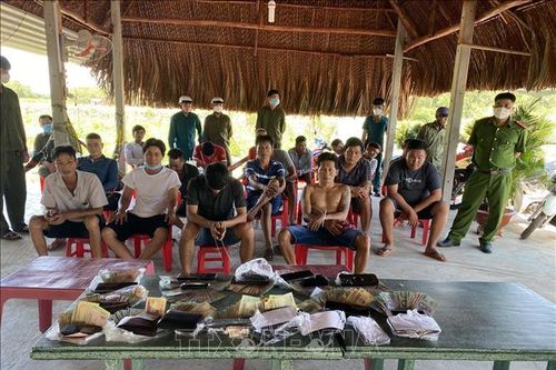 Triệt phá tụ điểm cá cược đá gà qua mạng ở Tây Ninh