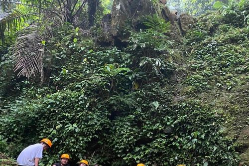 Quảng Bình: Kêu gọi thu hút nhà đầu tư vào du lịch rừng