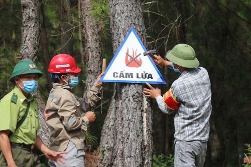 Hà Tĩnh chỉ đạo tăng cường phòng cháy, chữa cháy rừng