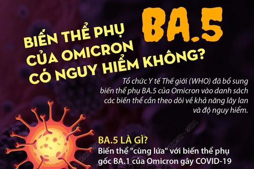 Biến thể phụ BA.5 của Omicron đã xâm nhập vào Việt Nam