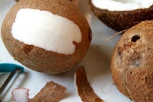Thương tâm bé gái 12 tháng tuổi hóc cùi dừa dẫn đến tử vong