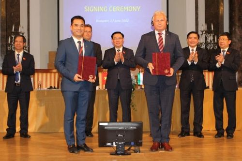 Hiện thực hóa các cam kết, mục tiêu trong hợp tác phát triển giáo dục Việt Nam-Hungary