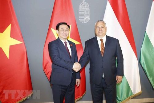 Quan hệ đối tác toàn diện Việt Nam-Hungary không ngừng được củng cố, phát triển ngày càng tốt đẹp
