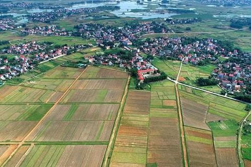 Dự án Trường đua ngựa Sóc Sơn: Hà Nội gặp khó trong áp dụng hình thức thu hồi đất