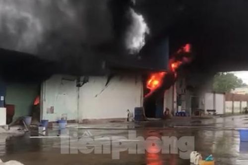Lửa bao trùm kho chứa điều lớn ở Bình Phước