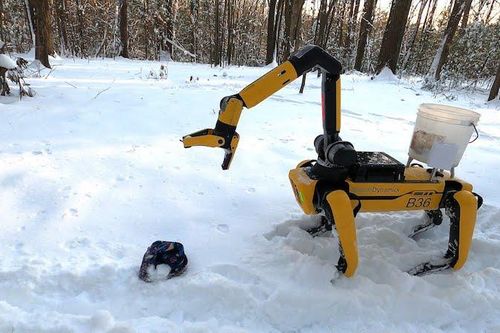 Quân đội Mỹ điều robot chó rà phá bom mìn đến Ukraine