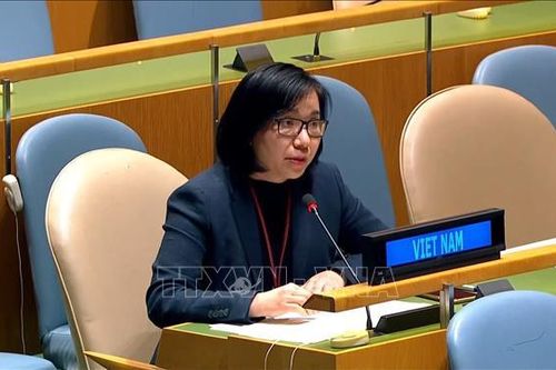 Việt Nam cam kết quản lý súng nhỏ và vũ khí nhẹ theo chương trình hành động của LHQ