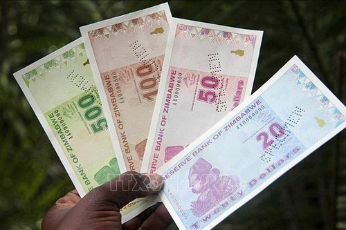 Lo ngại siêu lạm phát, Zimbabwe nâng lãi suất lên mức cao nhất thế giới