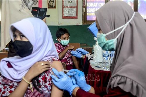 Indonesia thử nghiệm lâm sàng giai đoạn 3 vaccine ngừa COVID-19 nội