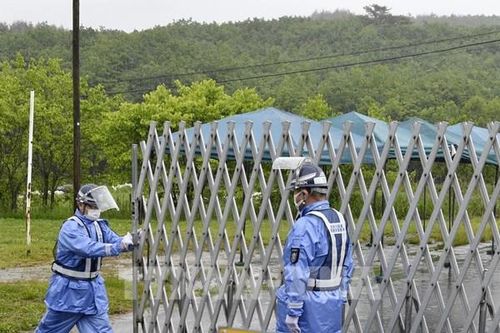 Cuộc sống hồi sinh tại thị trấn có nhà máy điện hạt nhân Fukushima số 1