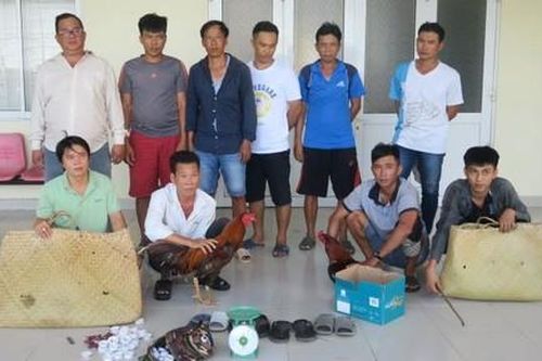Công an huyện Cần Giờ phá trường gà lớn nhất từ trước đến nay
