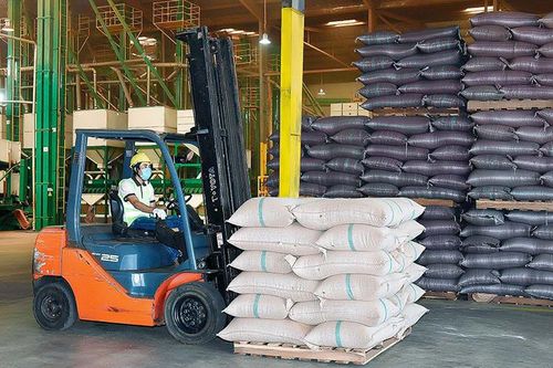 Để nông nghiệp Tây Nguyên hội nhập và phát triển