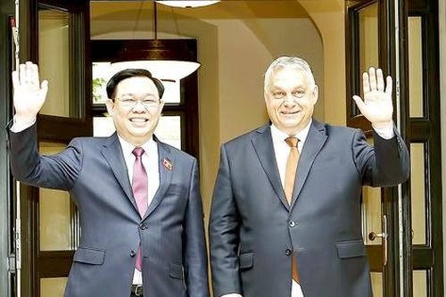 Đưa quan hệ đối tác toàn diện Việt Nam - Hungary đi vào chiều sâu