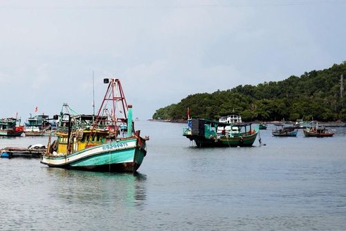 Thành lập Hội đồng thẩm định Quy hoạch khai thác, sử dụng tài nguyên