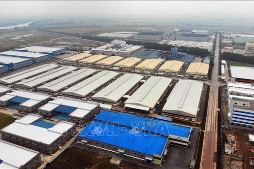 Việt Nam thu hút mạnh mẽ các nhà xuất khẩu New Zealand