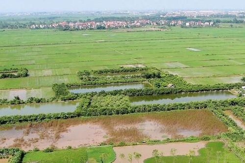 Cơ quan nào có thẩm quyền cho thuê đất công ích?