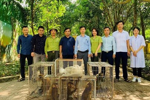 Hà Tĩnh: Thả nhiều động vật hoang dã về môi trường tự nhiên