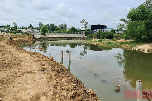 Một công ty lấn chiếm đất bị phạt 140 triệu đồng