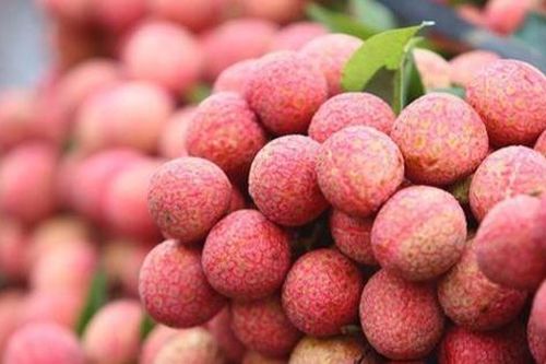 Bất chấp cước phí cao, vải Việt Nam cấp tập bay đến Úc