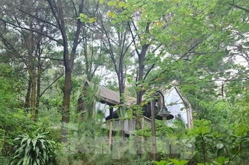 Cấm mua bán, chuyển nhượng đất rừng Sóc Sơn