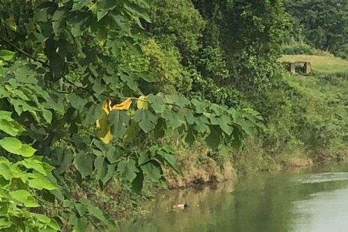 Liên tiếp phát hiện thi thể trên sông