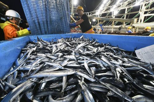 Anh dỡ bỏ lệnh cấm nhập khẩu nông sản và thực phẩm từ Nhật Bản