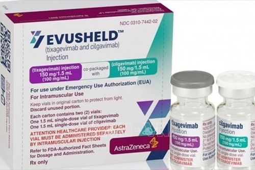 Hàn Quốc phê duyệt sử dụng kháng thể đơn dòng Evusheld phòng COVID-19 cho người miễn dịch kém