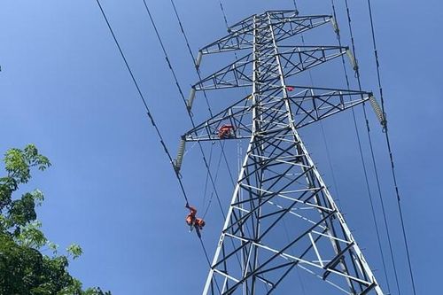 Đảm bảo truyền tải điện an toàn, ổn định, liên tục trong mùa nắng nóng tại tỉnh Bình Thuận
