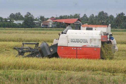 Nâng cao hiệu quả hoạt động hợp tác xã nông nghiệp