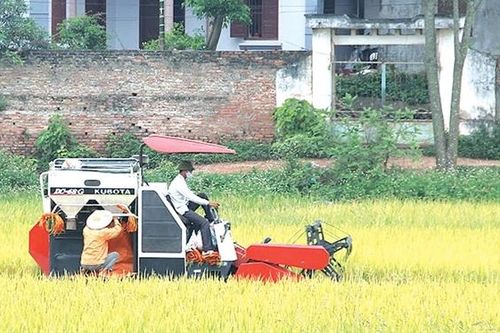 Nông nghiệp phát triển toàn diện, ổn định