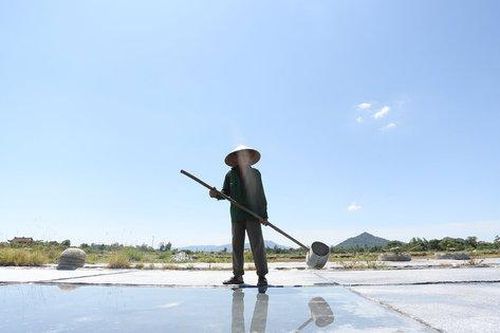 Diêm dân Hà Tĩnh 'rang mình' trên đồng nước mặn