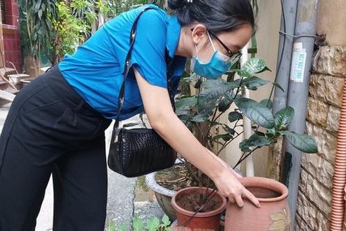 Hà Nội không chủ quan với sốt xuất huyết