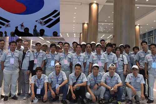 Tạm dừng tuyển lao động EPS sang Hàn Quốc với 8 huyện ở 4 địa phương