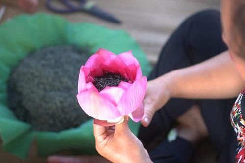 'Đệ nhất danh trà' giá hàng chục triệu đồng/kg ở Hà Nội được làm như thế nào?