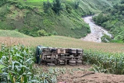 Xe tải lật rồi lộn nhiều vòng trên ruộng ngô tại Lào Cai