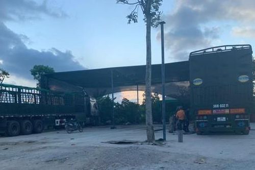 Thanh Hóa: Chỉ đạo khẩn trương, xử lý nghiêm vi phạm trên đất nông nghiệp