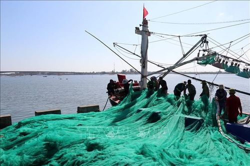 Giá nhiên liệu cao khiến sản lượng khai thác thủy sản ở Quảng Trị giảm