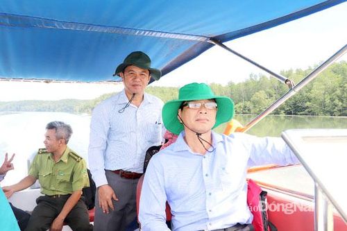 Cần chuyển đổi hàng trăm ha đất rừng để làm dự án