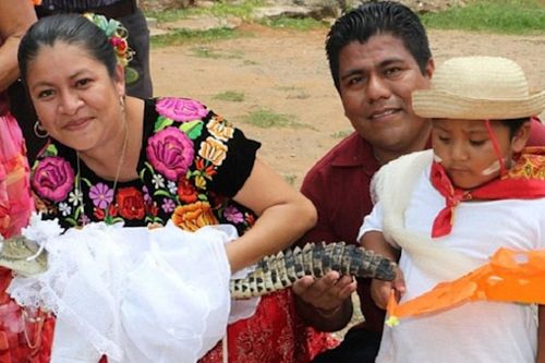 Thị trưởng ở Mexico cưới cá sấu để cầu mùa màng