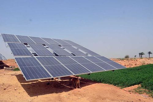 Ai Cập thực hiện mục tiêu phát triển kinh tế xanh