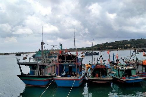 Duy trì hơn 5.000 cán bộ, chiến sĩ sẵn sàng xử lý các tình huống do bão số 1