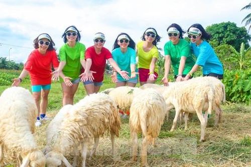 Đồng cừu Suối Tiên - 'thiên đường sống ảo' mới của giới trẻ