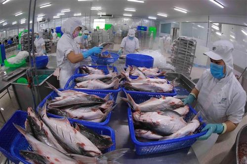 Khoảng 85,4% số dòng thuế quan trong ACFTA sẽ được xóa bỏ trong giai đoạn 2022 - 2027