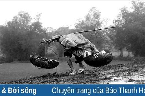 Trắng tay…