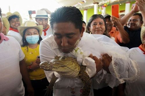 Thị trưởng kết hôn với cá sấu, khách mời nhảy múa ca hát vui vẻ