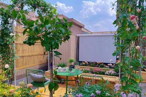 Cặp vợ chồng trẻ biến sân thượng thành khu vườn nghỉ ngơi kiêm rạp chiếu phim ngoài trời